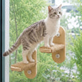 PETKARAY Large Cat Window Shelf, Upgraded Window Stairs by PETKARAY