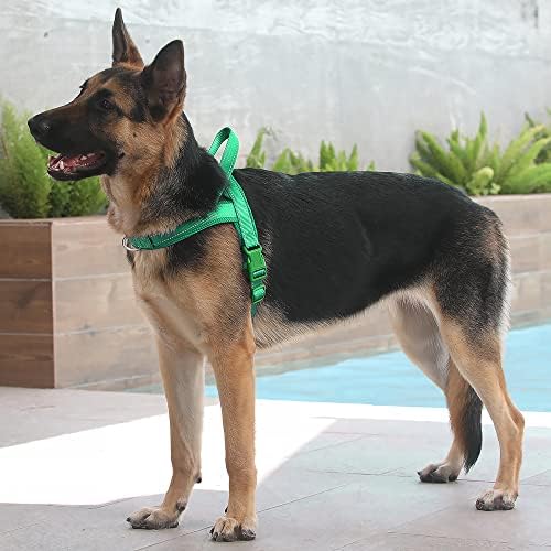 Plutus Pet No Pull Dog Harness for Large Dogs, Breathable Mesh Padded - Image 5