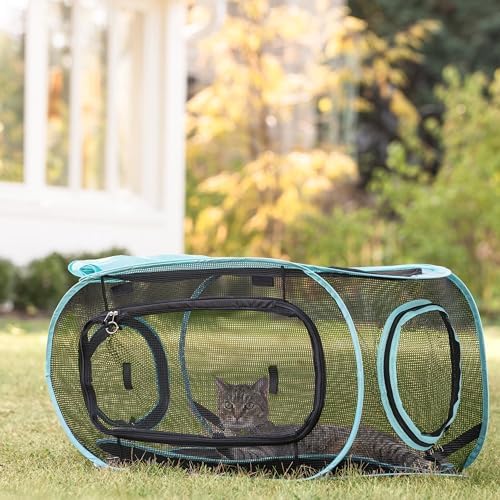 Kitty City Outdoor Catio Furniture and Play Kits - Image 4