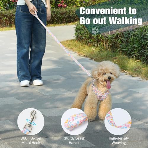 Pawaboo Small Dog Harness and Leash Set, Puppy Harness X-Frame Adjustable - Image 6