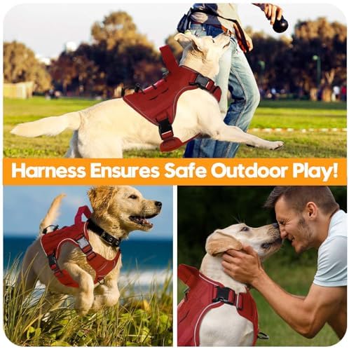 Heavy-Duty Tactical Dog Harness - Image 6