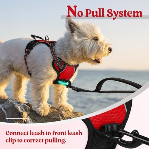 rabbitgoo Dog Harness, No Pull for Small Dogs - Image 5