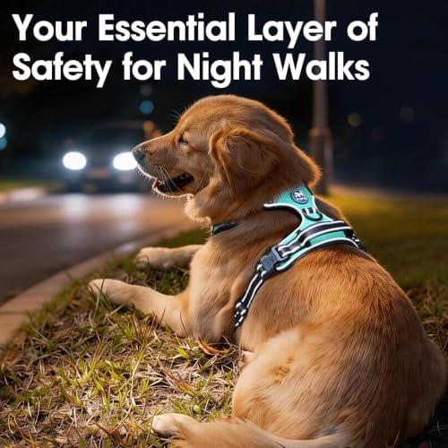 PoyPet No Pull Dog Harness Small, Reflective Vest - Image 6