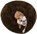 Plush Calming Donut Dog Bed for Small to Medium Dogs, 28 Inch Round Pet Bed by BODISEINT