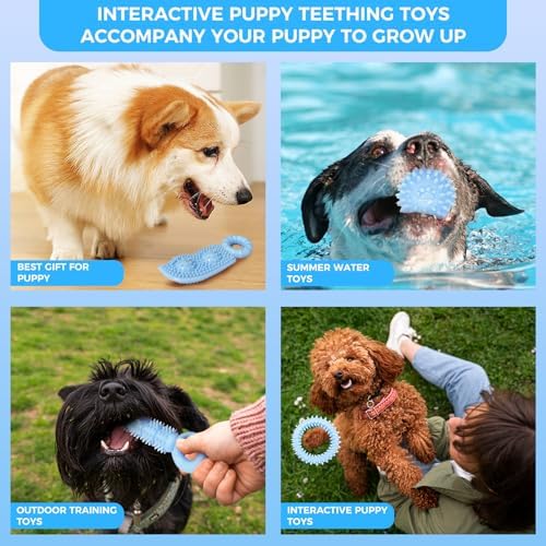 Puppy Toys, 9 Pack Dog Chew Toys, Teething Toys - Image 6