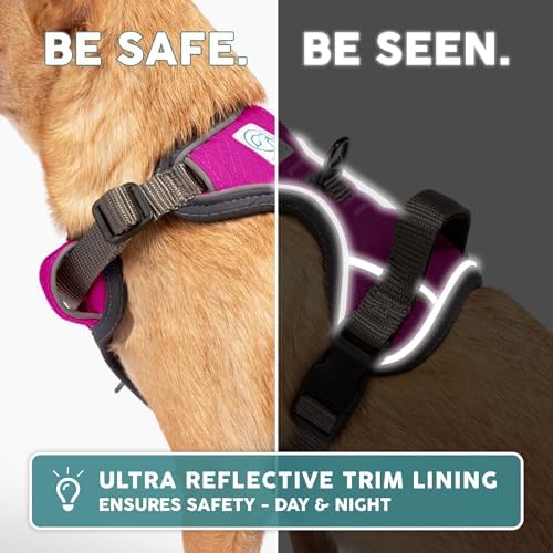 Embark No Pull Dog Harness, Reflective Adjustable Training Vest, No Choke - Image 5
