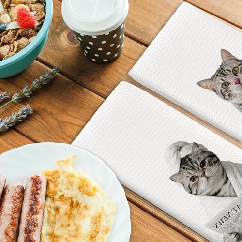 Cat Kitchen Towels Decor Set of 2 - Image 4