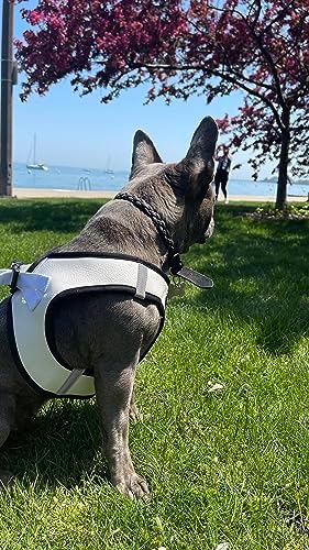Step-in Dog Harness Classic Style Dog Vegan Leather Reflective Details - Image 6