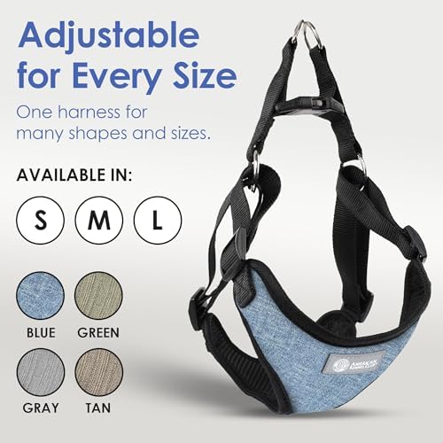AKC Premium Padded Step-in Dog Harness – Soft Comfort Fit - Image 5