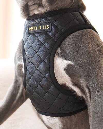 Step in Dog Harness, Lightweight Breathable Mesh Soft Padded Pet Vest, Vegan - Image 4