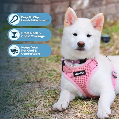 Voyager Step-in Lock Dog Harness - Image 3