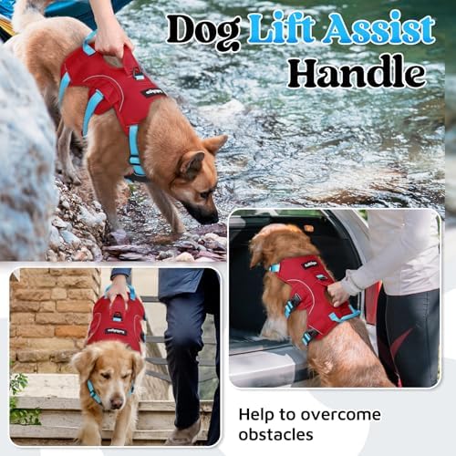 rabbitgoo Escape Proof Dog Harness - Image 4
