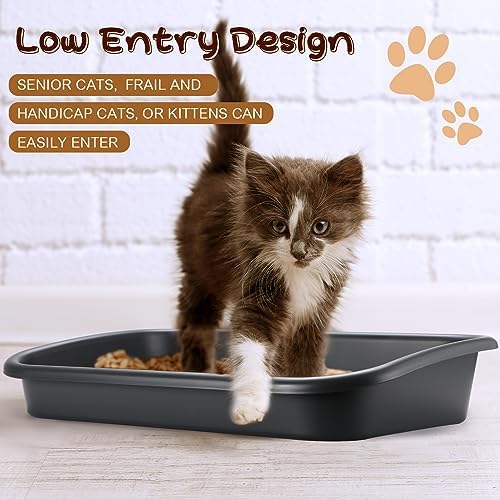 Uiifan 3Pcs Large Low Entry Cat Litter Box, Dark Gray - Image 4