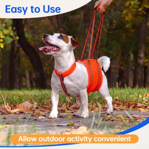 PAWsay Adjustable Dog Sling for Small Dogs Hind Leg Support - Image 4