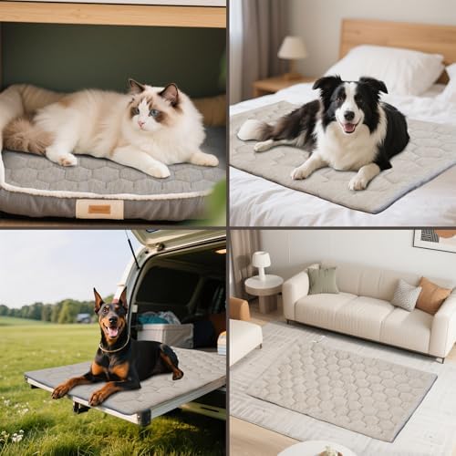 Giant Dog Cooling Mat, Size C Summer Relief - Image 3
