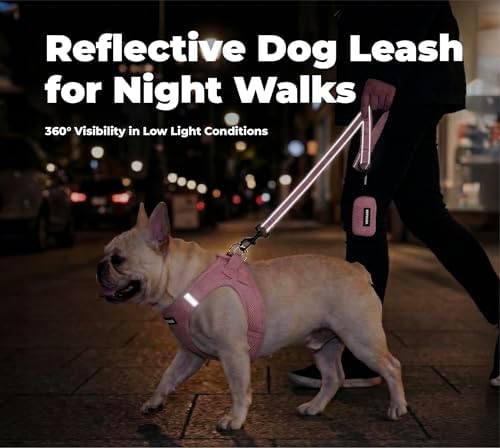Best Pet Supplies Voyager Nylon Dog Leash - 6ft Pink - Image 4
