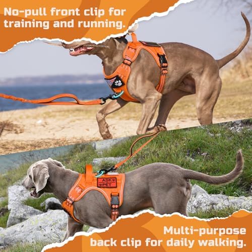 rabbitgoo Tactical Dog Harness for Small, No Pull Military Service Vest - Image 5