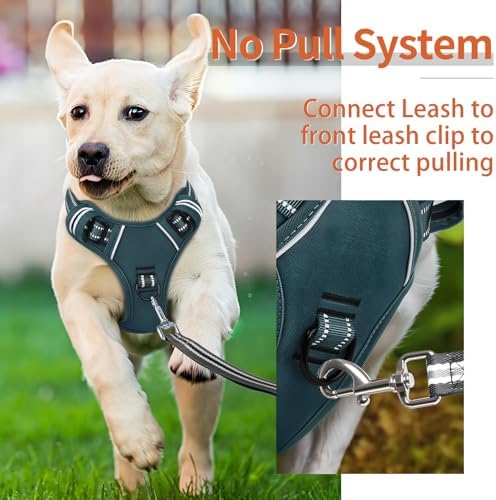 HEELE Dog Harness for Medium Dogs No Pull Dog Vest Harness - Image 4