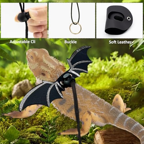 Bearded Dragon Leash and Harness Set, Bearded Dragon Accessories, Bearded - Image 4