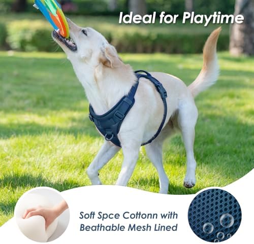 Sunraymascota No Pull Dog Harness - Image 6
