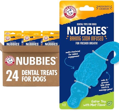 Arm & Hammer Nubbies Gator Dog Dental Chew Toy, Mint Flavor by ArmHammer