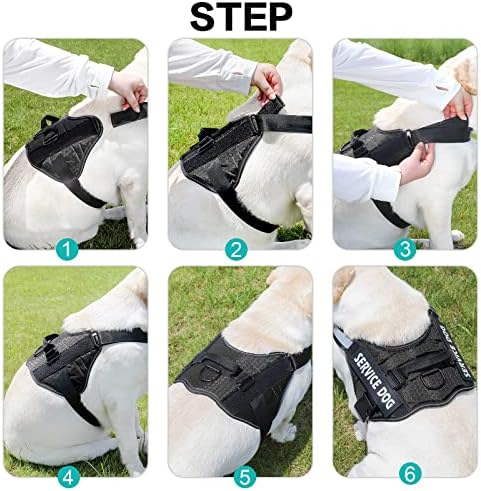 MUMUPET Custom Dog Harness - Image 6