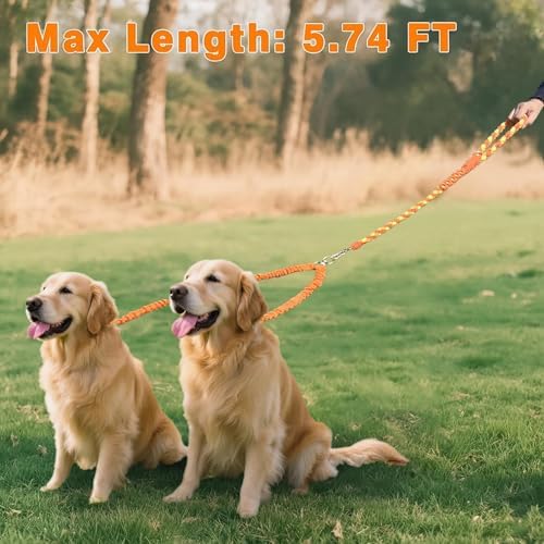 Double Dog Leash – Tangle-Free Dual Leash - Image 6