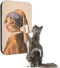 Cat Wall Scratcher, Art Cat Scratching Board by LESISSMER