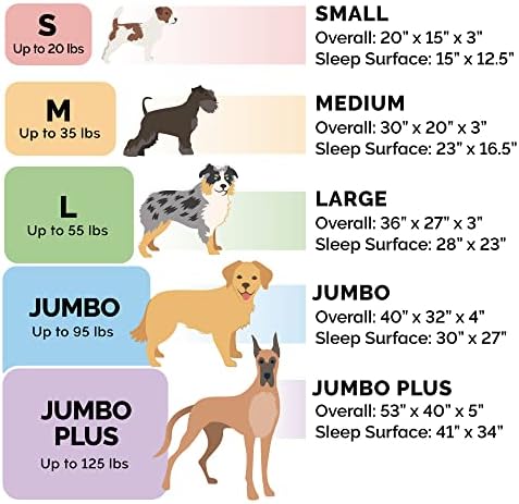 Furhaven Orthopedic Dog Bed for Medium/Small Dogs w/ Removable Bolsters & - Image 6