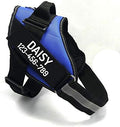 Custom No Pull Dog Harness by PawPawify