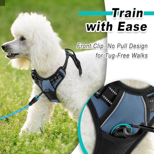 BARKBAY Dog Harness for Small Sized Dog No Pull 2 Leash Clips Dog Vest - Image 2