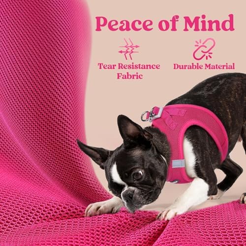 rabbitgoo Step-in Small Dog Harness, Puppy Vest - Image 5