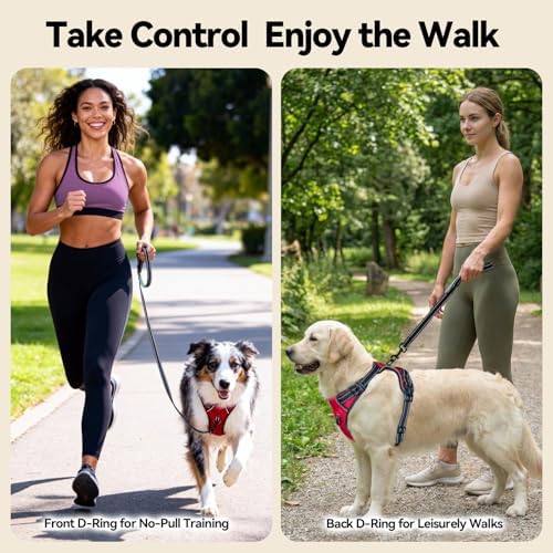 PHOEPET No Pull Dog Harnesses for Small Dogs Reflective Adjustable - Image 3