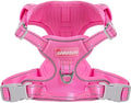 BARKBAY Dog Harness for Small Sized Dog No Pull Mesh 2 Clips Dog Vest by BARKBAY