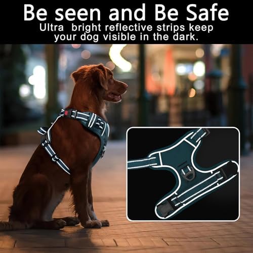 Timos Dog Harness Medium Sized, Quick Release 3 Buckles - Image 3