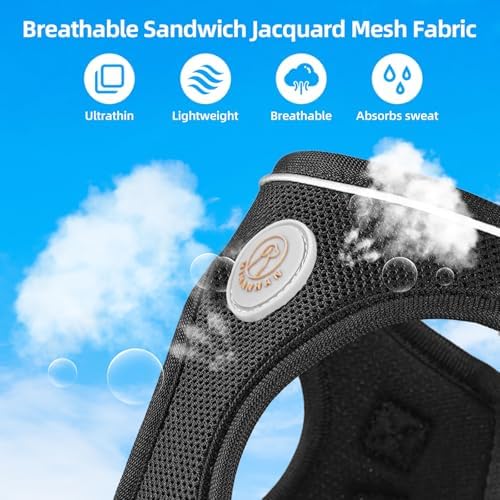 Soft Mesh Dog Harness and Leash Set, No Pull Puppy Harness and Leash Set - Image 5