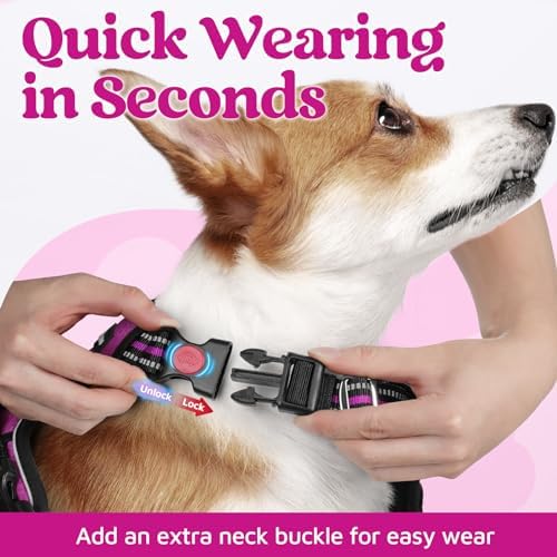 rabbitgoo Dog Harness Small Sized, No Pull 3 Buckles Easy On & Off - Image 2