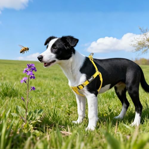 PUPTECK No Pull Dog Harness Large Sized Step-in Adjustable Puppy Vest - Image 6