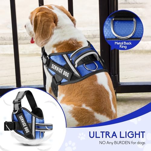 Service Dog Vest Harness and Leash Set, Animire in Training Dog Harness - Image 3