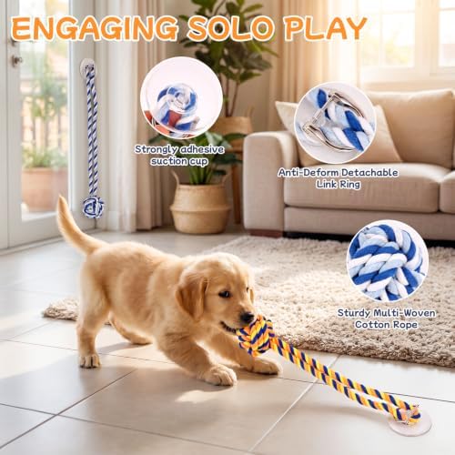Dog Rope Toy with Suction Cup Interactive Tug of War Toy 2Pcs - Image 4