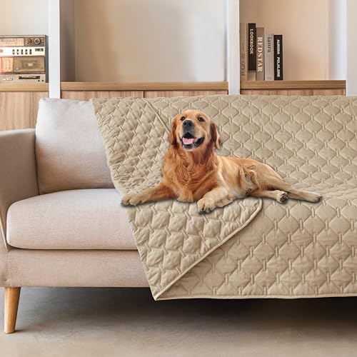 gogobunny Waterproof Pet Blanket by gogobunny