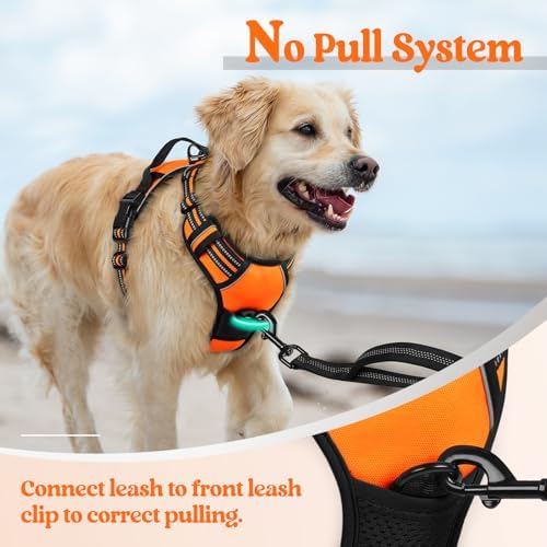 rabbitgoo Dog Harness, No Pull Medium Sized - Image 5