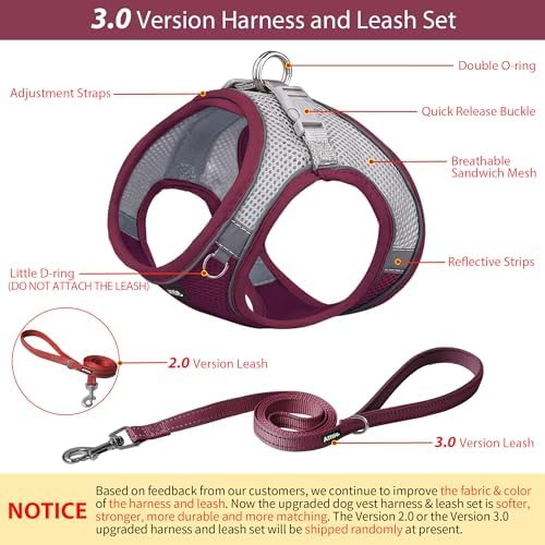 AIITLE Dog Harness and Leash Set, Step-in Puppy Pet Vest, Burgundy XXS - Image 4