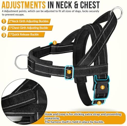 Lukovee No Pull Dog Harness and Leash Set, Soft Padded - Image 3