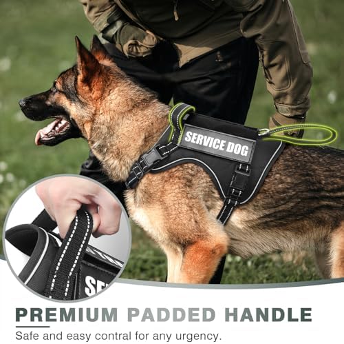WINSEE Tactical Dog Harness, No Pull Dog Harness - Image 2