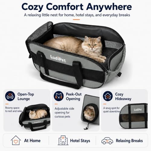 Airline-Friendly Pet Carrier for Cats and Small Dogs - Image 4