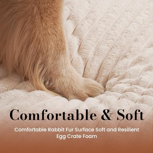 Dog Beds for Large Sized Dog, Orthopedic Foam - Image 4