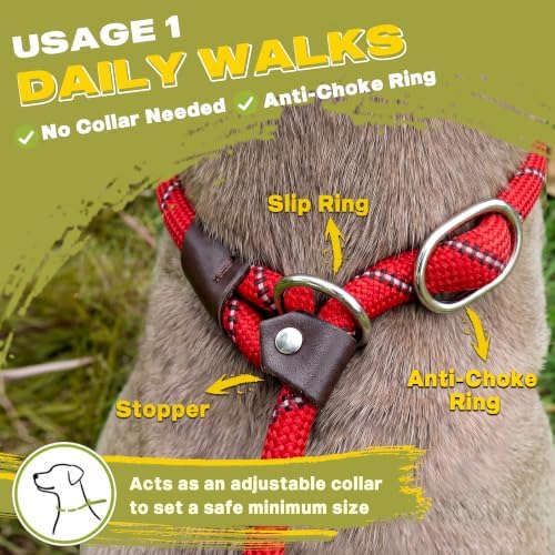 Fida Slip Lead Dog Leash 5 Pack, 6 FT x 1/2" Dog Training Leash - Image 4