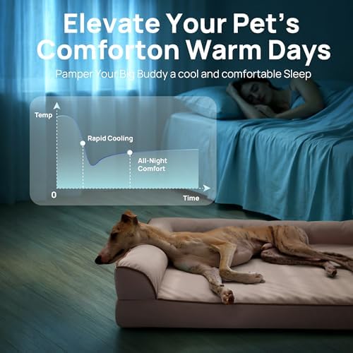 Cooling Dog Bed for Medium Dogs - Image 2