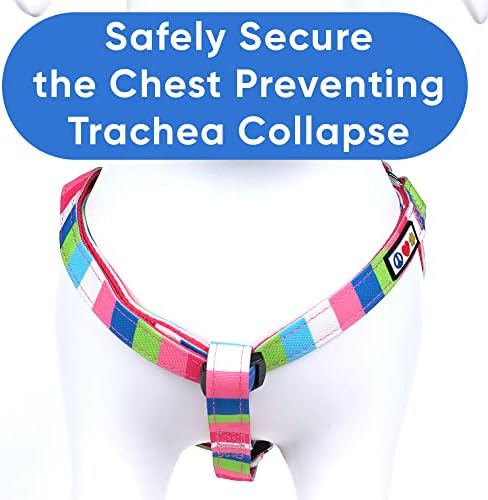 Pawtitas Multicolor Step-in Dog Harness – Adjustable No-Pull Vest - Image 4